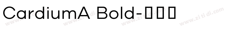 CardiumA Bold字体转换